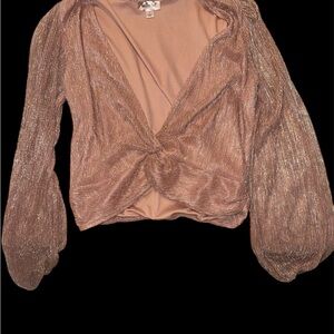 Buckle Shimmering Blush Blouse